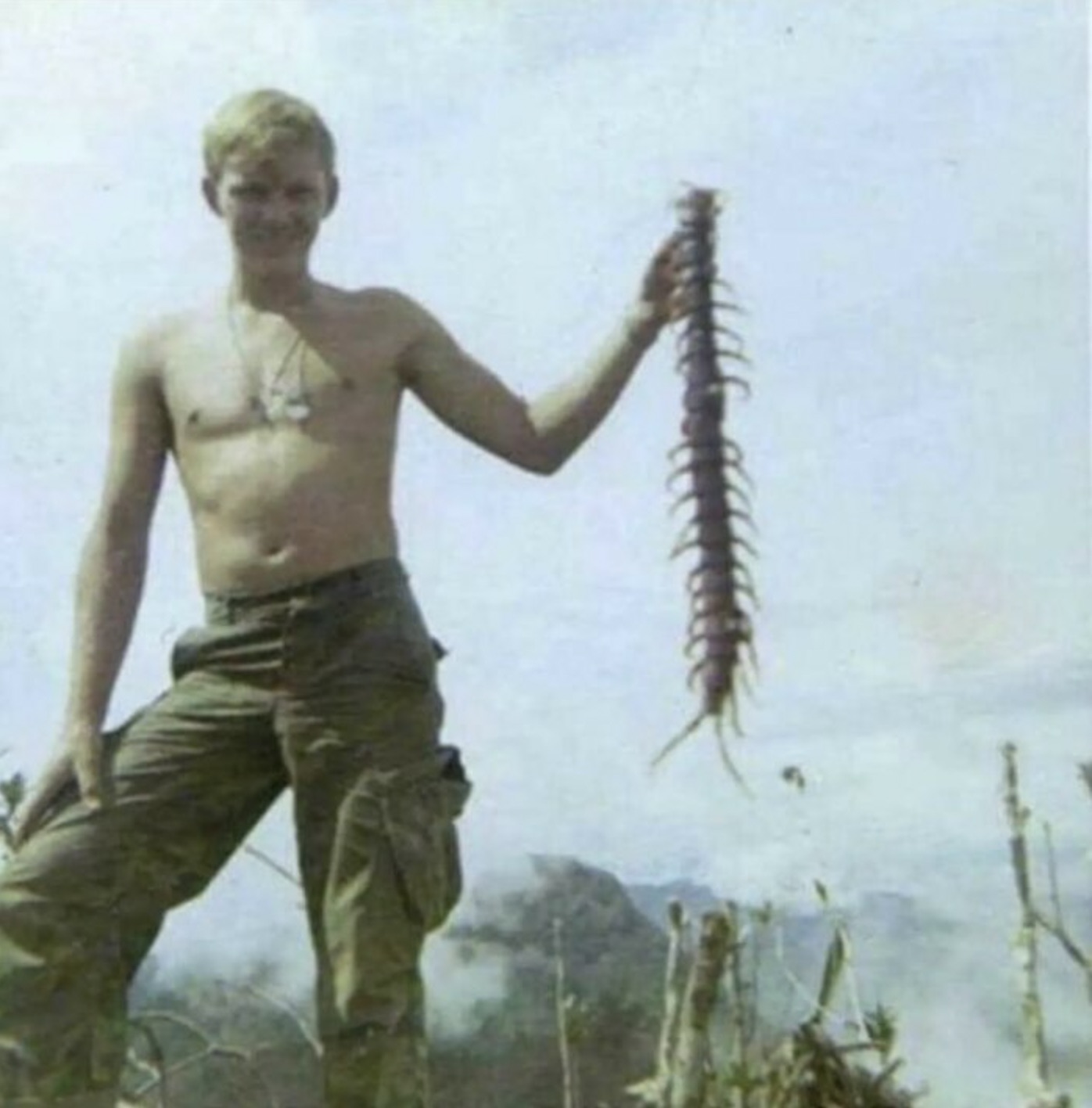 vietnam war centipede